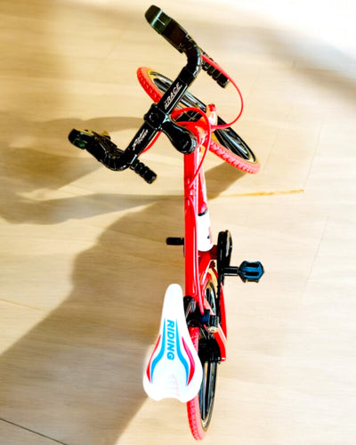 Metallinen pienoismalli punainen polkupyörä "SpeedMaster" kaiverruksella lahjaksi, 2 värivaihtoehtoa