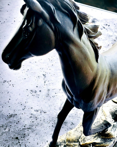 "Czarny Galop" - Tyylikäs Hevospatsas Kaiverrusmahdollisuudella