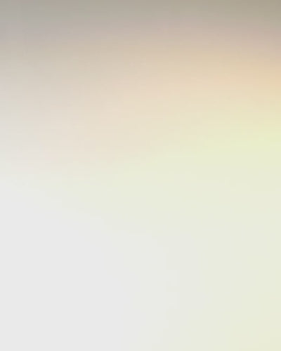 "Królewski Ryk" Neliönmuotoinen Olkalaukku Leijonan Päällä