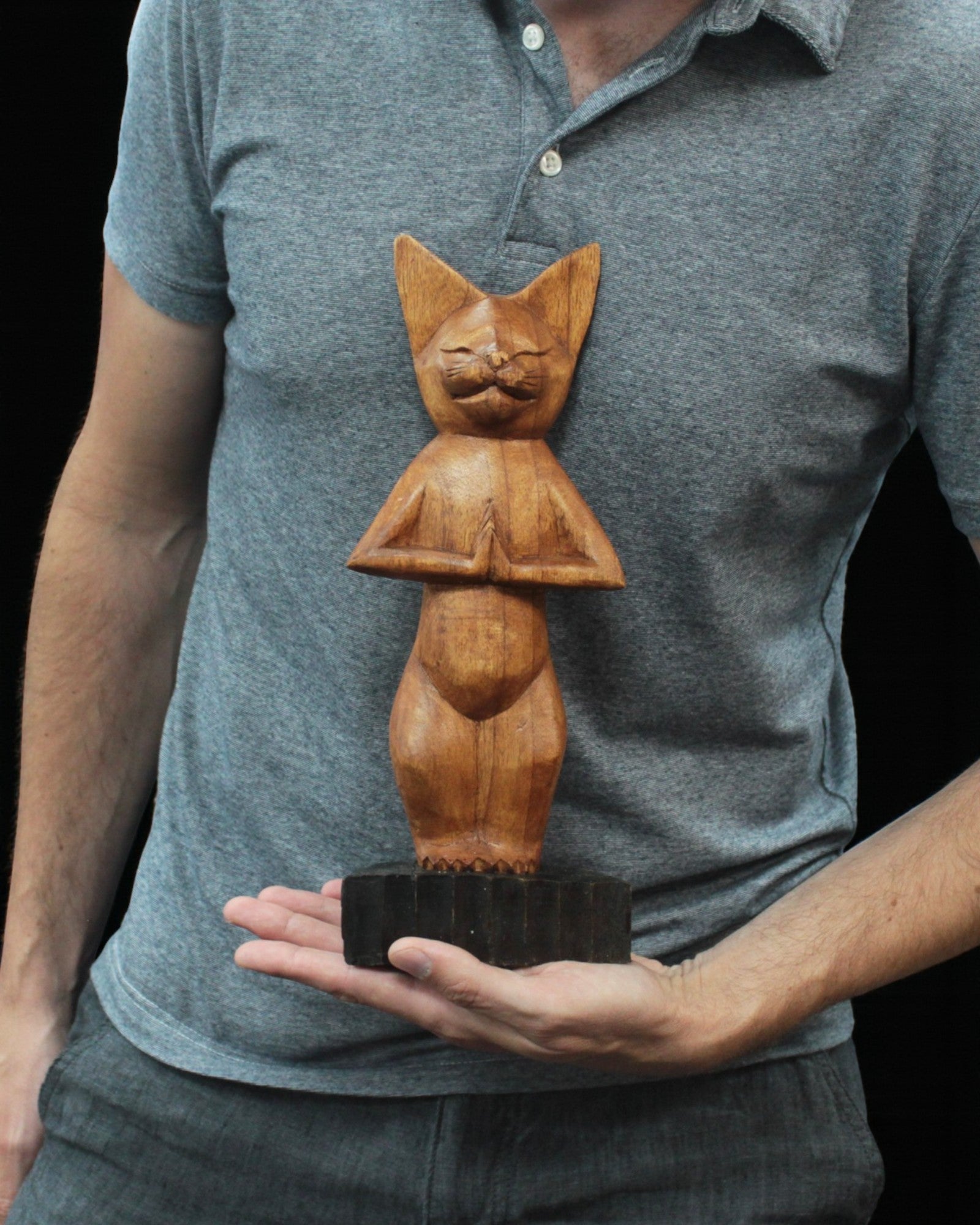 Kissaveistos – Jooga 1 seisoma-asento 30 cm